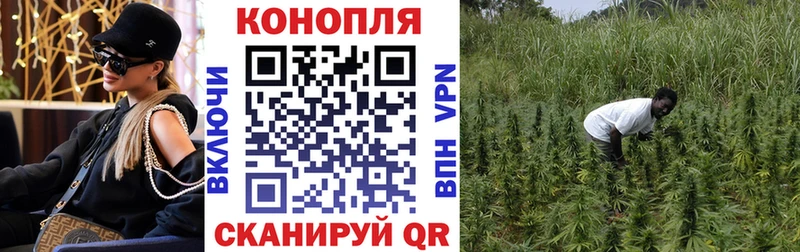 Купить наркотик аптеки Светогорск Галлюциногенные грибы Марихуана Меф мяу мяу ЭКСТАЗИ Гашиш МЕТАДОН