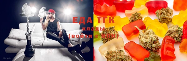 ECSTASY Богданович