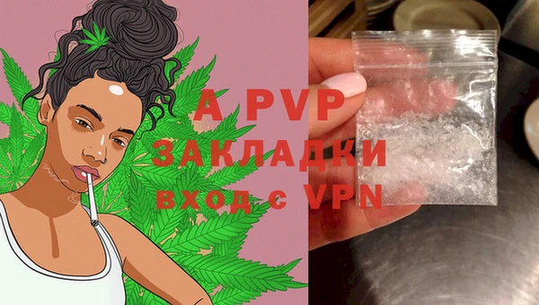 ECSTASY Богданович