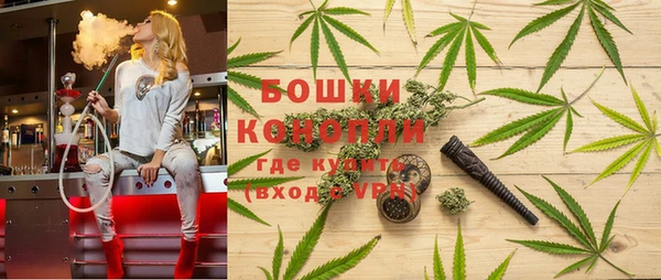 ешки Бородино