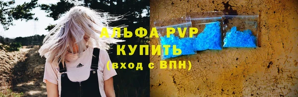 ECSTASY Богданович