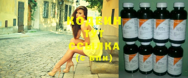 ешки Бородино